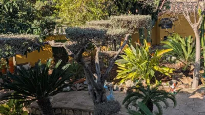 Chalet in Partida Morral photo 33