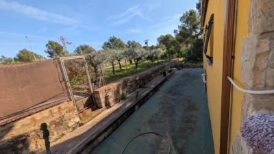 Chalet in Partida Morral photo 44