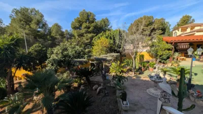 Chalet in Partida Morral photo 57