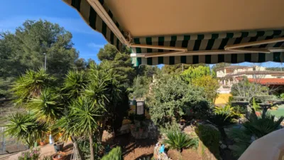 Chalet in Partida Morral photo 17