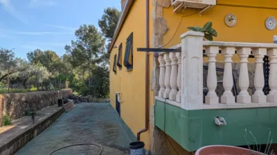 Chalet in Partida Morral photo 69