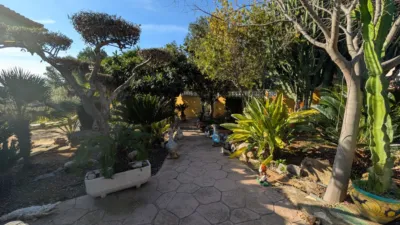 Chalet in Partida Morral photo 21