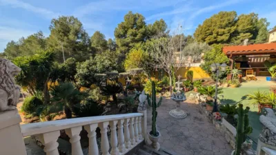 Chalet in Partida Morral photo 3