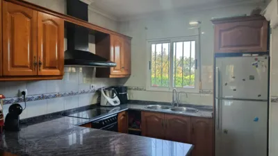 Single-family home at Camino del Motor Bertomeu, 1 photo 40