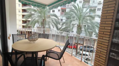 Apartment in Plaza de la Constitución photo 18
