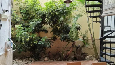 House on Carrer de Cavite photo 30