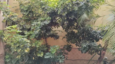 House on Carrer de Cavite photo 31