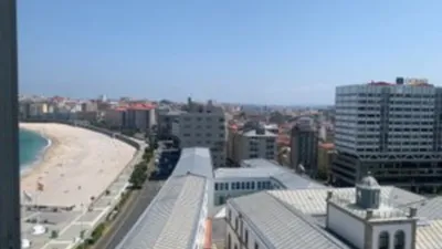 Apartment on Calle de Modesta Goicouria photo 15