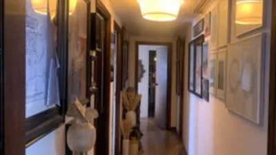 Apartment on Calle de Modesta Goicouria photo 12