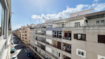 Pis – Torrevieja - Més