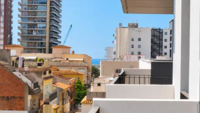 Penthouse on Avinguda de Catalunya photo 9