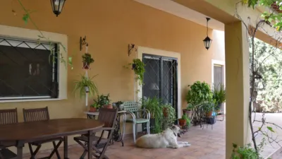 Chalet in Partida Cachapets, 105 photo 2