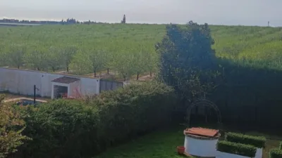 Casa en alquiler en Carretera de Villanueva del Ariscal, Espartinas
