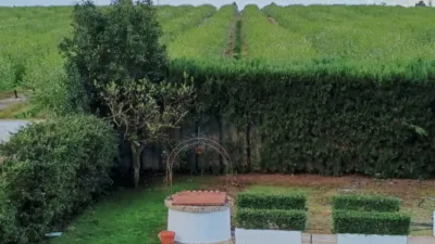 Casa en alquiler en Carretera de Villanueva del Ariscal, Espartinas