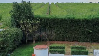 Casa en alquiler en Carretera de Villanueva del Ariscal, Espartinas