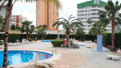 Apartment on Calle Mitjorn, 2 photo 19