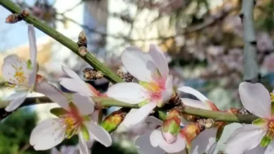 Casa en venta en Carretera Cn.301, Km.430, Miranda (Distrito Pedanías Noroeste. Cartagena) de 749.000 €