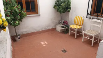 Apartment in Baza photo 5