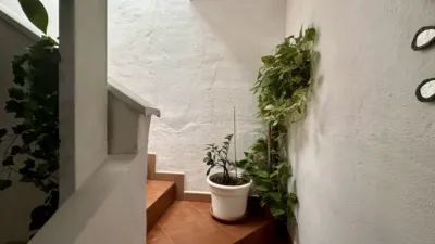 Flat on Minerva Street photo 14