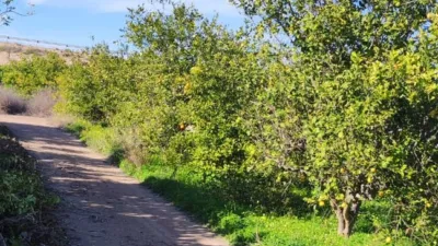 Estudio en venta en Avenida de Murcia de Los Ramos, cerca de Calle de la Luna de Los Ramos, Los Ramos (Distrito Pedanías Este. Murcia Capital) de 64.900 €