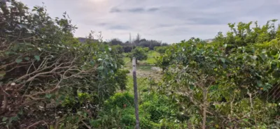 Estudio en venta en Avenida de Murcia de Los Ramos, cerca de Calle de la Luna de Los Ramos, Los Ramos (Distrito Pedanías Este. Murcia Capital) de 64.900 €