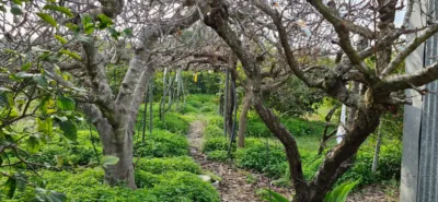 Estudio en venta en Avenida de Murcia de Los Ramos, cerca de Calle de la Luna de Los Ramos, Los Ramos (Distrito Pedanías Este. Murcia Capital) de 64.900 €