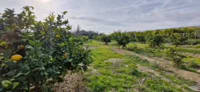 Estudio en venta en Avenida de Murcia de Los Ramos, cerca de Calle de la Luna de Los Ramos, Los Ramos (Distrito Pedanías Este. Murcia Capital) de 64.900 €