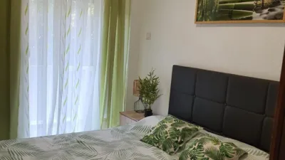 Apartment in Benalúa photo 9
