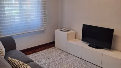 Apartment on Calle del General Castaños photo 4
