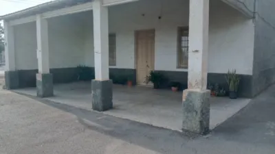 Pis – Crevillent, Polígono Industrial El Botx, el Baix Vinalopó - Vista 3