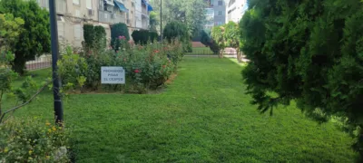 Piso en Centro photo 5