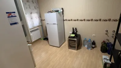 Miniatura 12