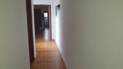 Miniatura 11