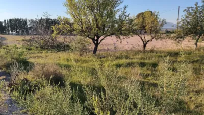 Chalet rústico en venta en Pasaje los Carrillos Cv 870, Kilómetro 1, Orihuela Pedanías (Orihuela) de 155.000 €