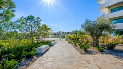 Apartment in Las Mojadas-Las Ramblas photo 9