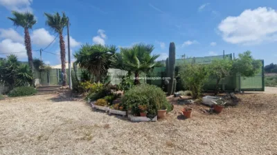 Casa – Guardamar del Segura - Vista 3
