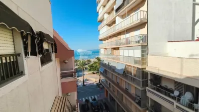 Pis – Santa Pola, el Baix Vinalopó - Vista 5