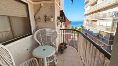 Pis – Santa Pola, el Baix Vinalopó - Vista 2