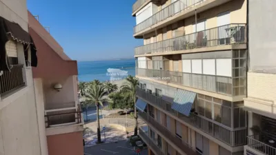 Pis – Santa Pola, el Baix Vinalopó - Vista 3