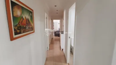 Apartment on Avenida González Vicen photo 12