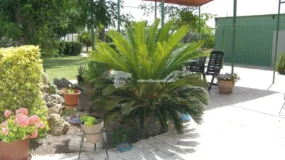 Casa – Elx - Elche - Más
