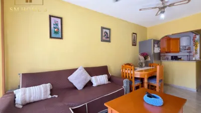 Pis – Torrevieja - Vista 4