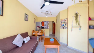 Pis – Torrevieja - Vista 5