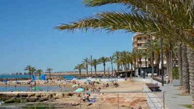 Apartment on Calle Caballero de Rodas photo 30