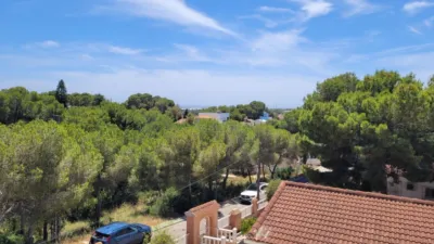 Chalet unifamiliar en Carrer de Alerce photo 44