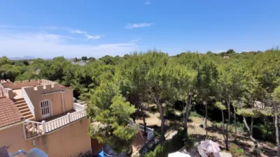 Chalet unifamiliar en Carrer de Alerce photo 45