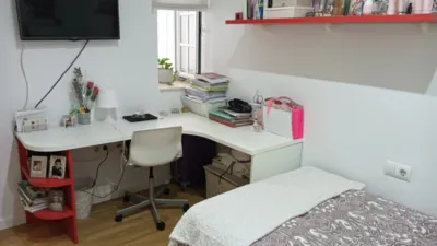Apartment in Plaza de Falla photo 13