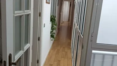 Apartment in Plaza de Falla photo 14