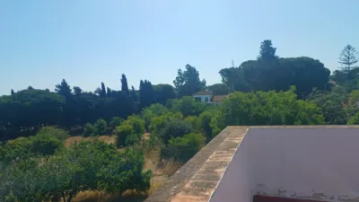 Chalet on Camino Mostaza photo 29