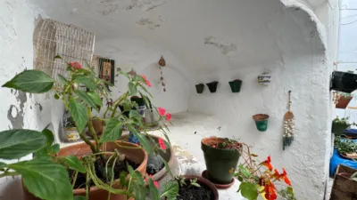 House in Conil de la Frontera photo 12